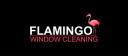 Flamingo Window Cleaning  logo